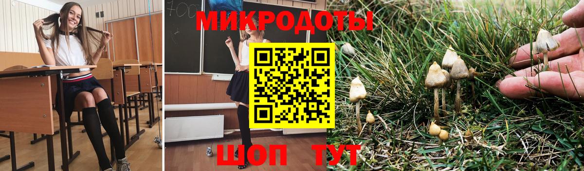 Будённовск  Галлюциногенные грибы GOLDEN TEACHER  Вход с VPN 