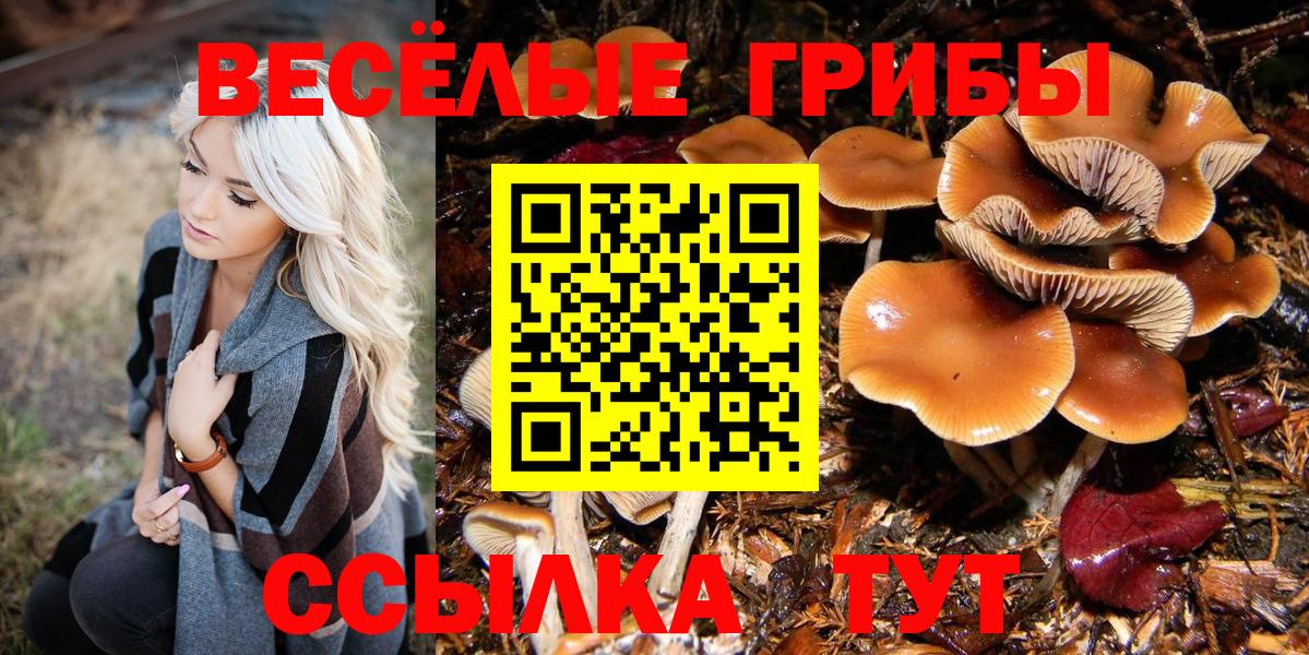 Галлюциногенные грибы Cubensis Будённовск